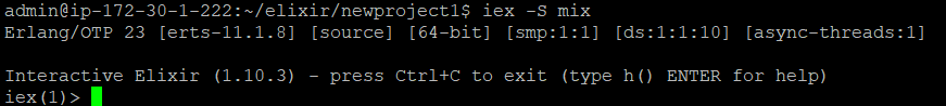 Output of an iex session